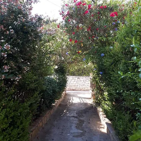 Garneli * Kalami (Corfu)