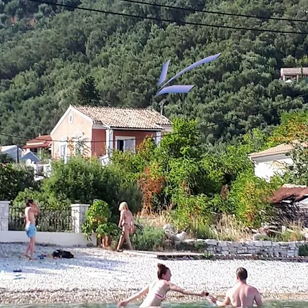 Garneli Καλάμι